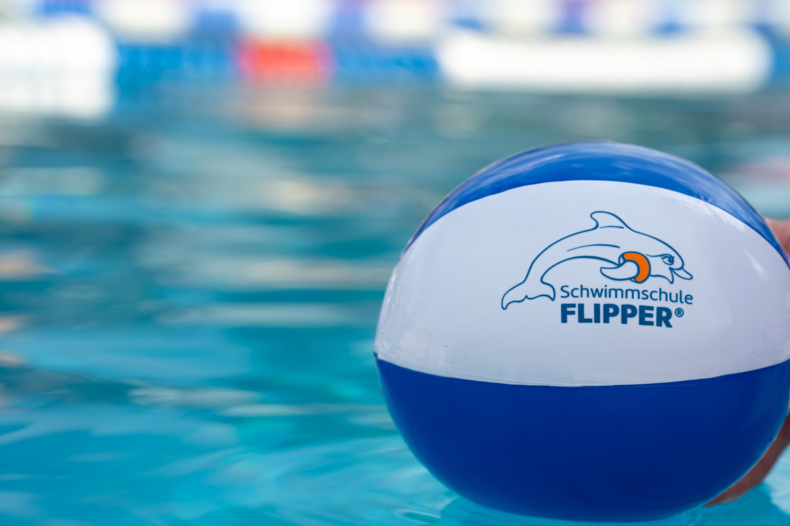 Flipper Illustration