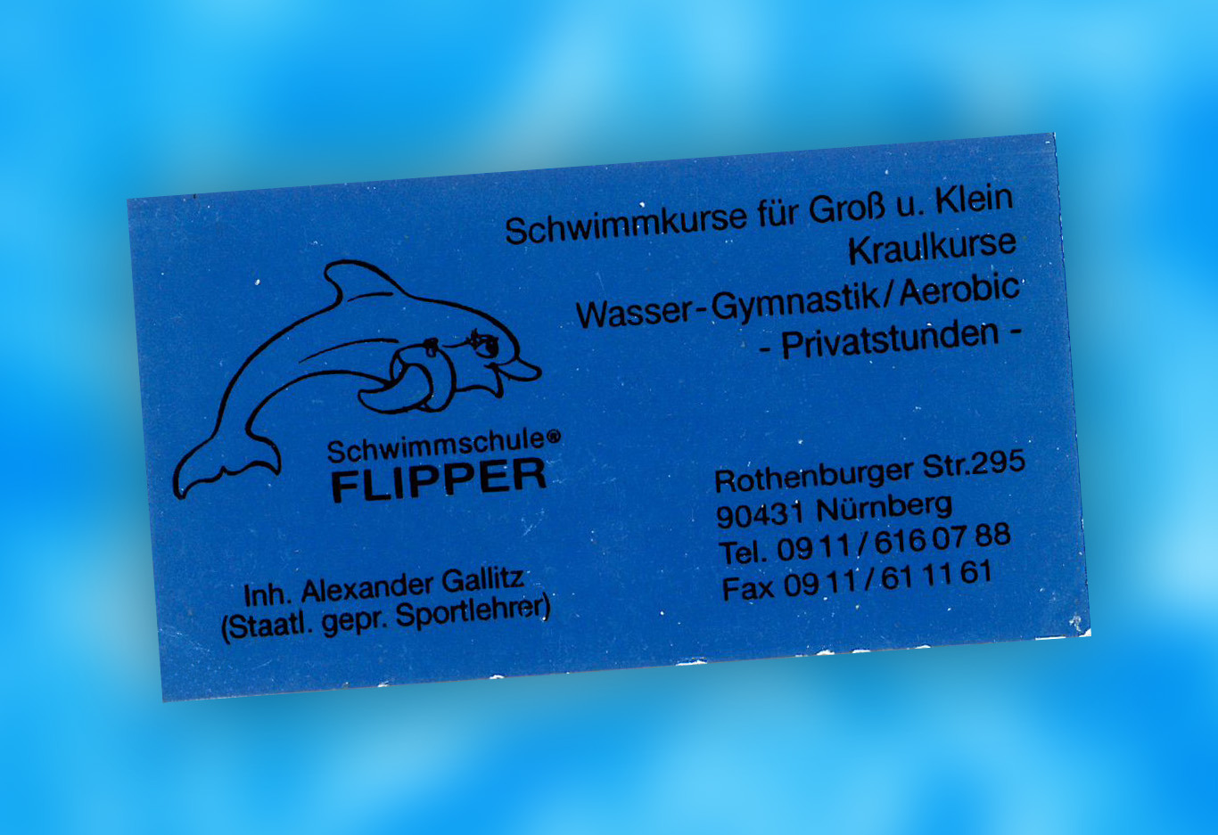 Flipper Illustration
